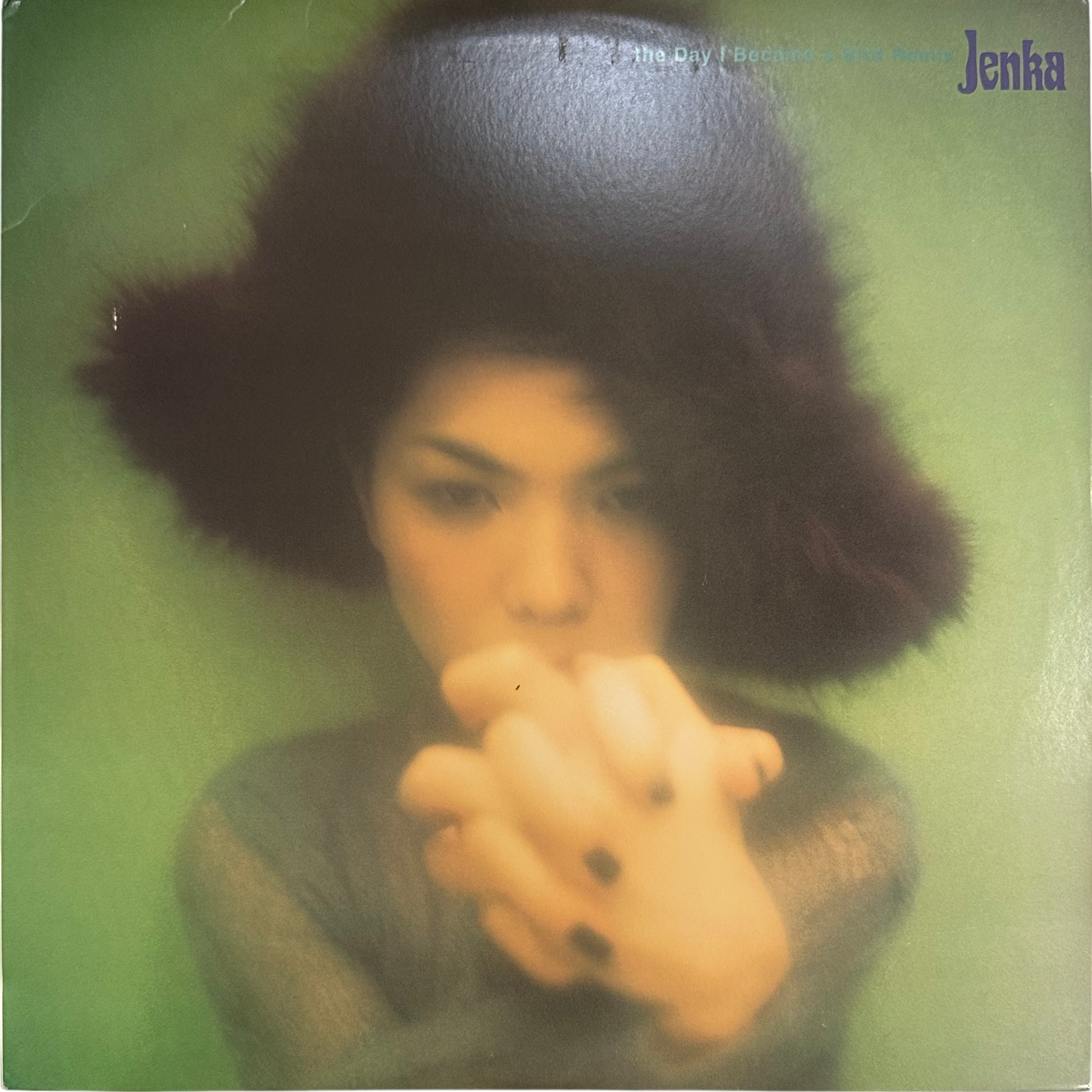 Jenka (2) — The Day I Became A Bird Remix