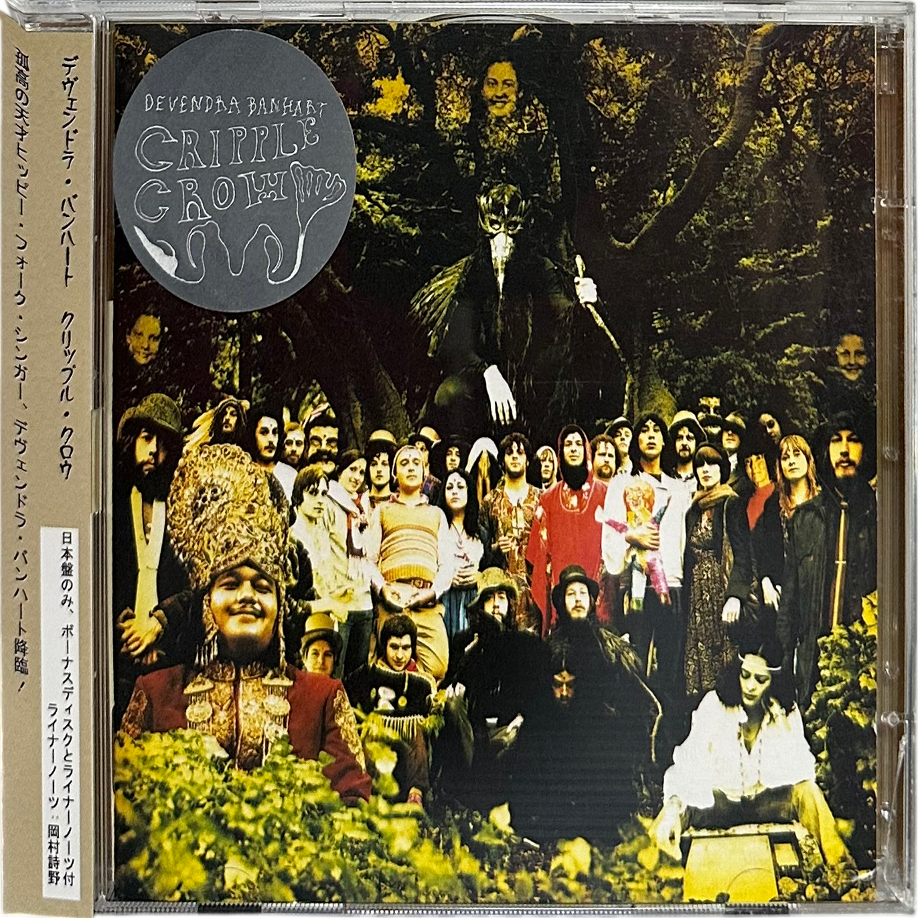 Devendra Banhart — Cripple Crow