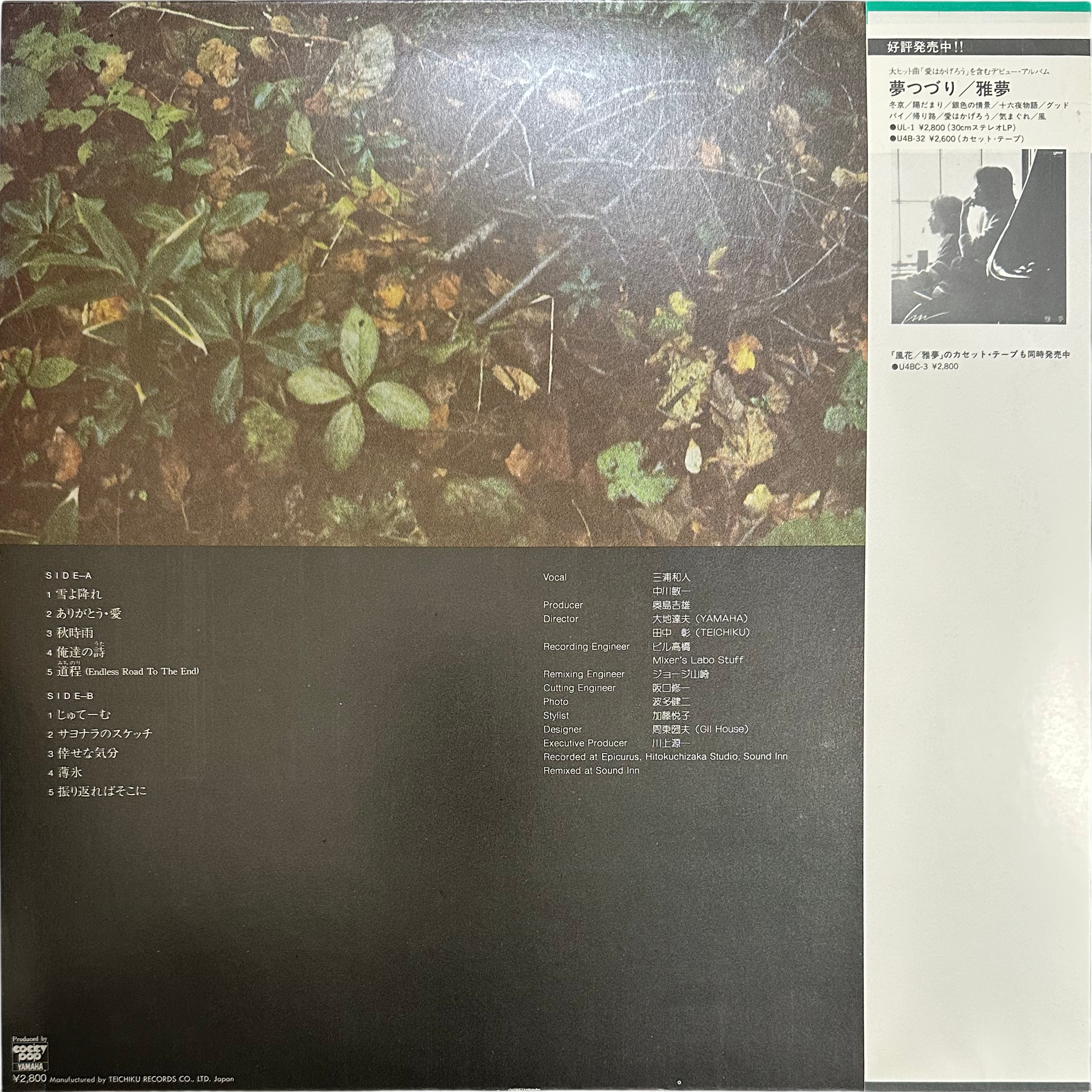 雅夢 — 風花 2
