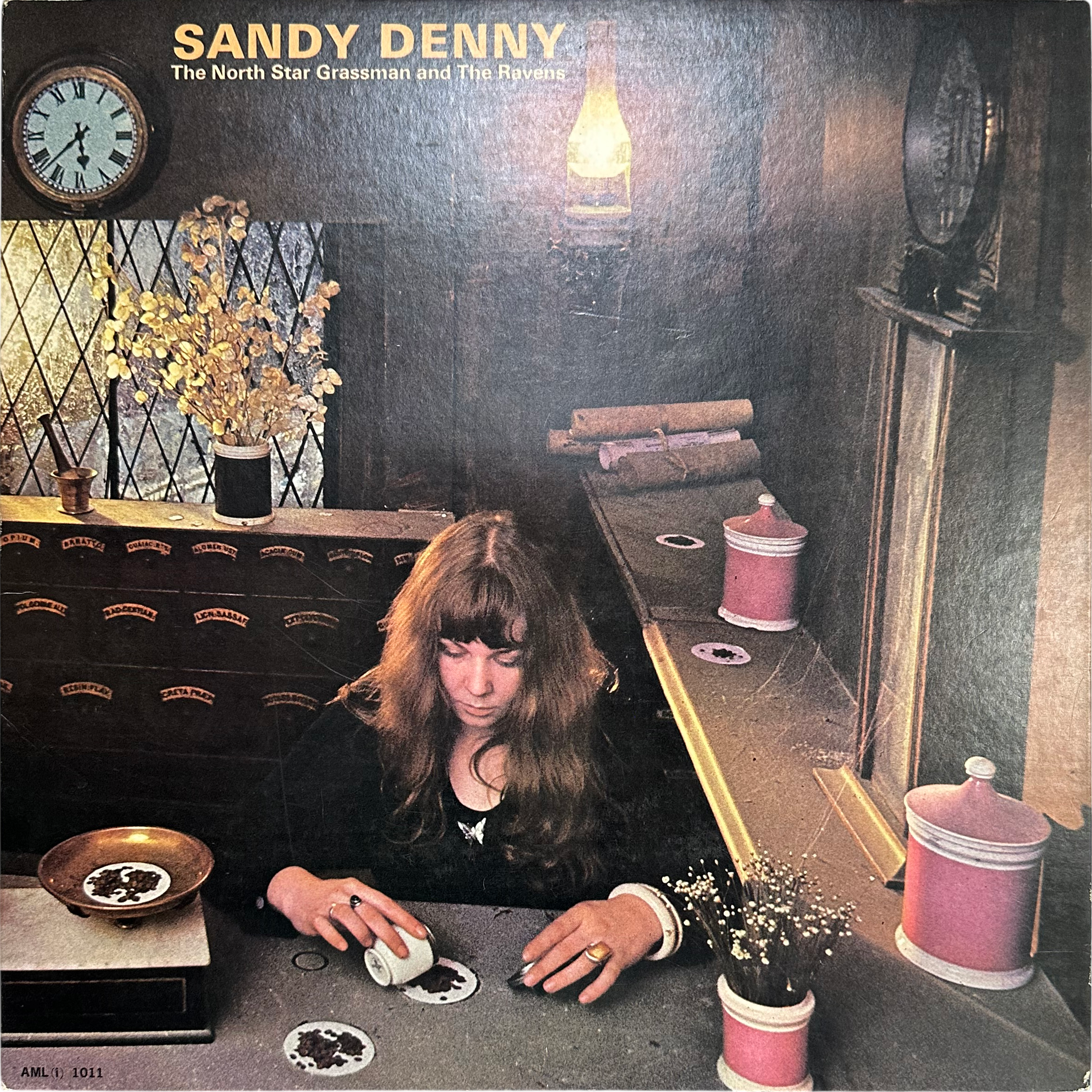 Sandy Denny — The North Star Grassman And The Ravens 9