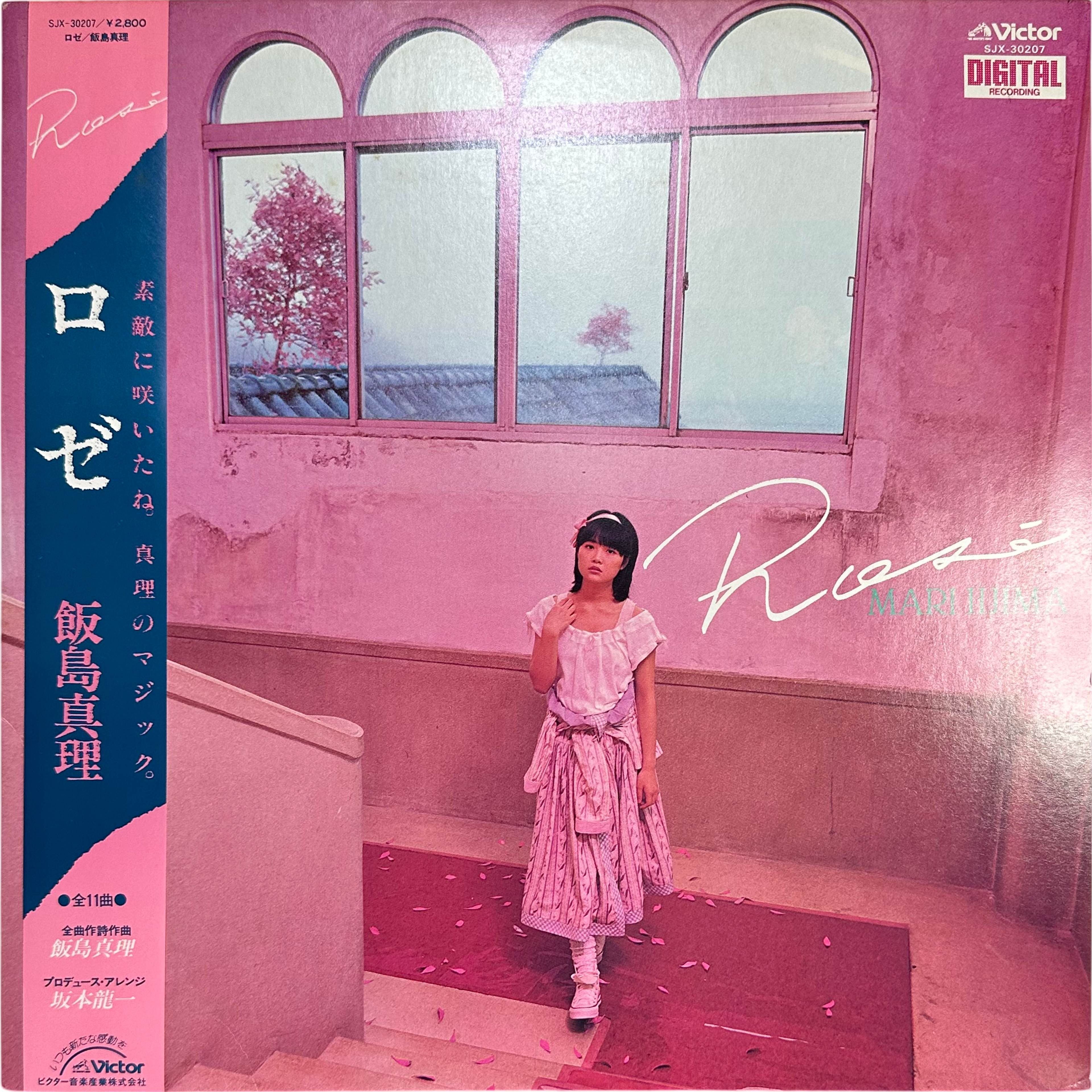Mari Iijima — Rosé = ロゼ