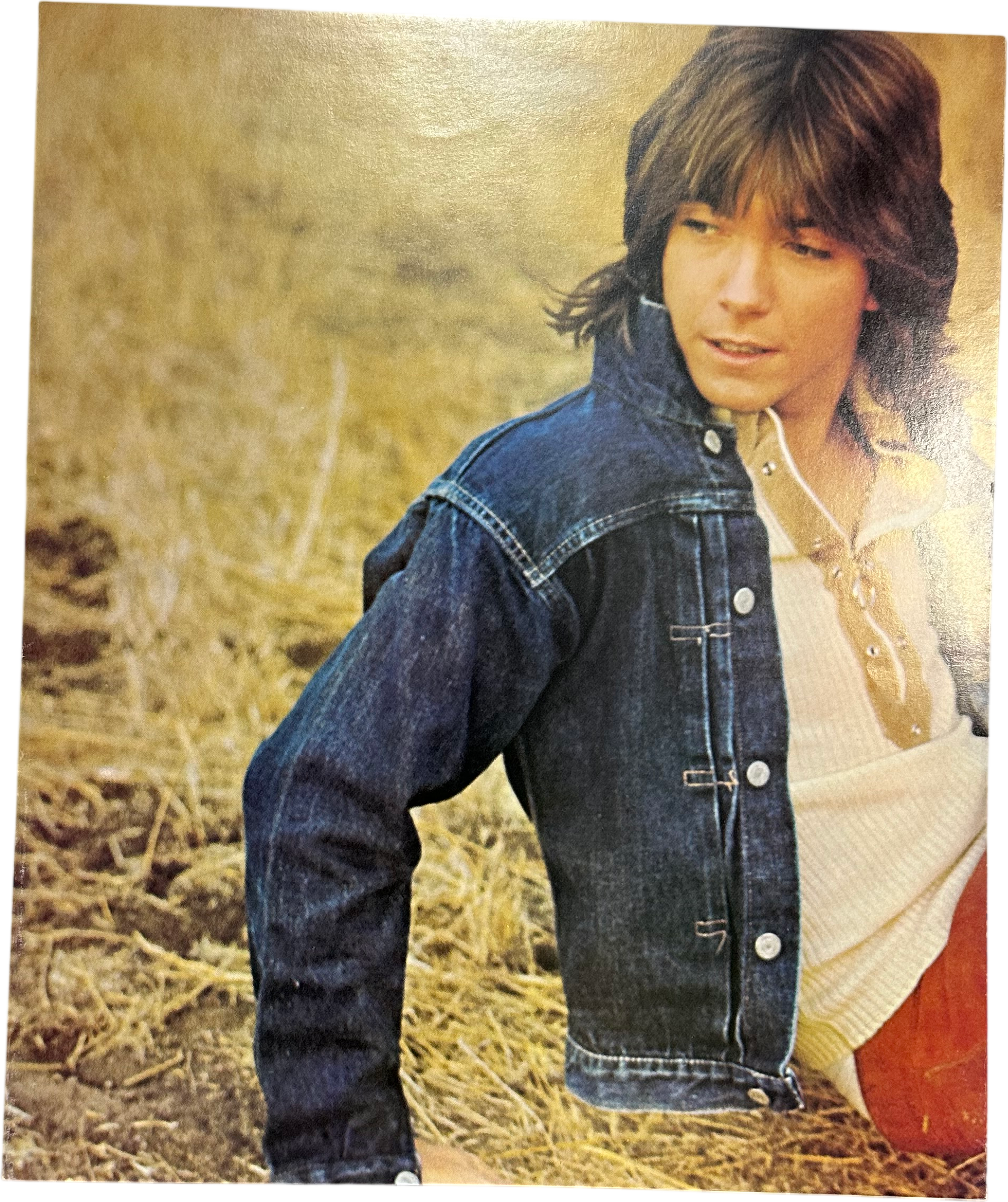 David Cassidy,Shirley Jones (2),The Partridge Family — Bulletin Board 9