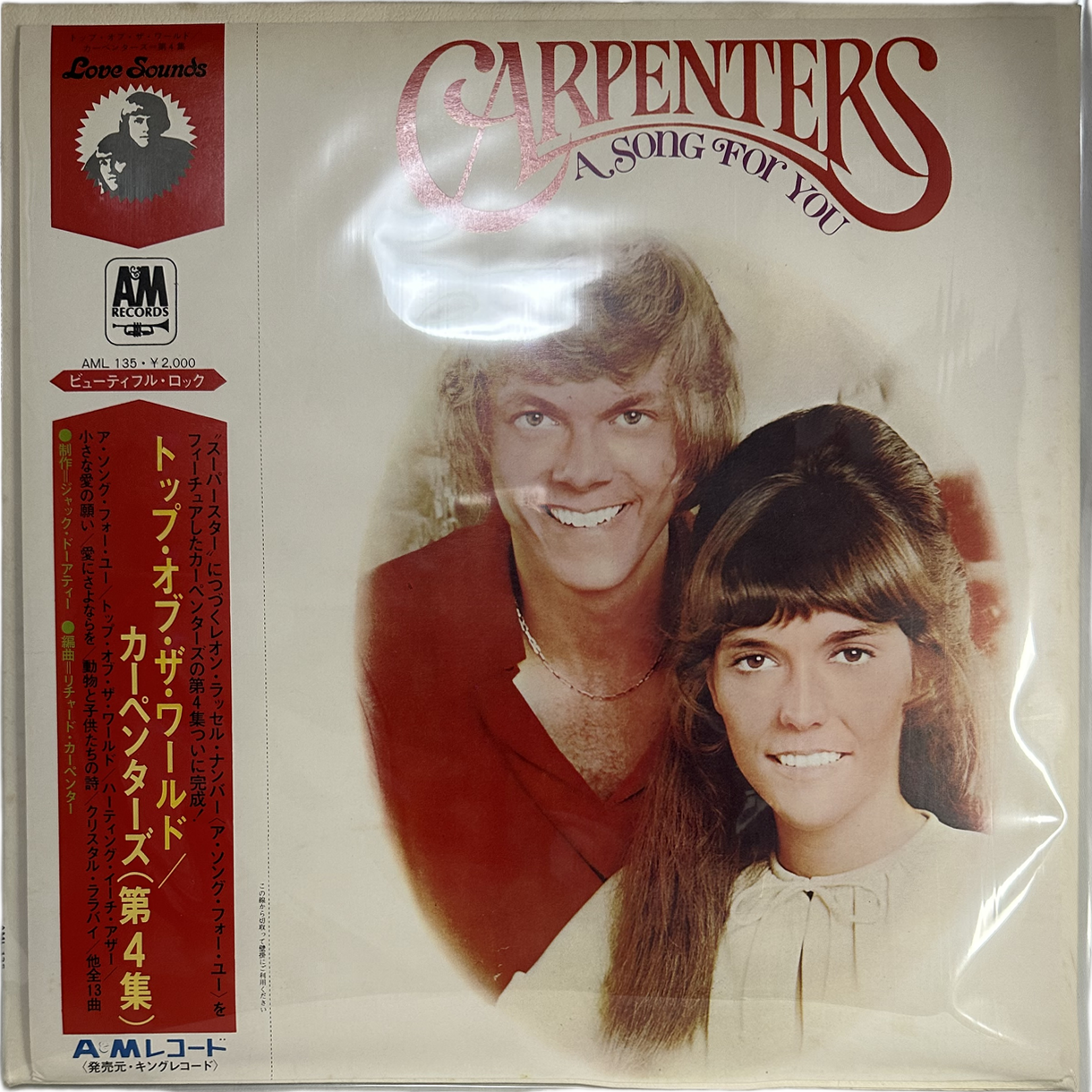 Carpenters — A Song For You 2