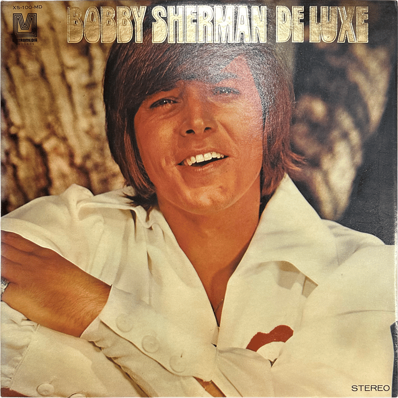 Bobby Sherman バッジ　ヴァリビュー　ビンテージ Bobby Sherman — Bobby Sherman Deluxe | kagaribi